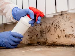 Mold Remediation for Rental Properties in Enochville, NC